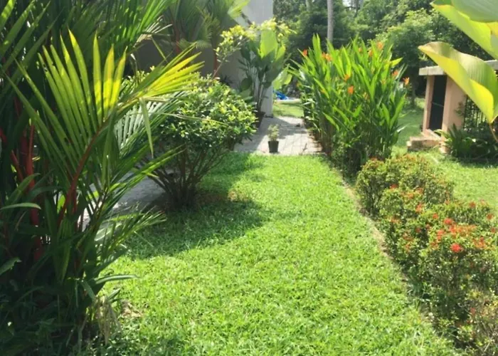 White Butterfly - A Countryside Homestay